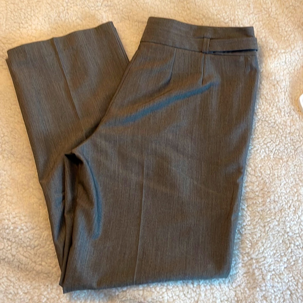 Larry Levine 10 Short Grey Dress Slacks. W109